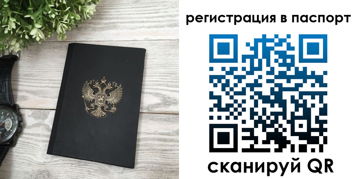 прописка в Бабаево